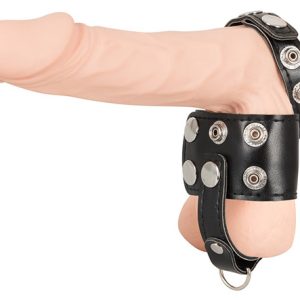 Esticador de testículos com separador e D-Ring