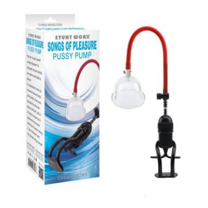 Bomba p/vagina SONGS OF PLEASURE