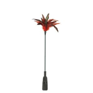 Pena + chibata FEATHER