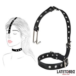 Colar com gancho para nariz LATETOBED BDSM LINE