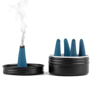 5 unidades de Incensos com feromonas FEROZ